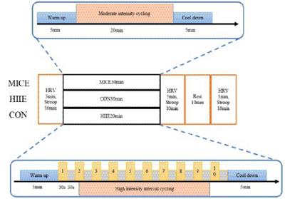 Time course efficiency of MICE and HIIE on inhibitory control and HRV in adolescents with obesity and different cardiorespiratory fitness